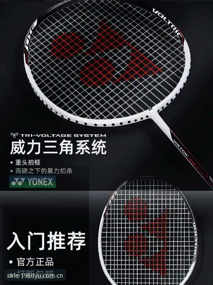 体育体育娱乐 196体育平台新手入门详解:如何安全下载并验证官方版本